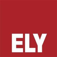 ely and associates corp - global hydraulic fracturing expertise logo image