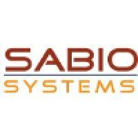 sabio systems, llc logo image