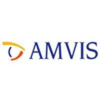 amvis hellas s.a. logo image