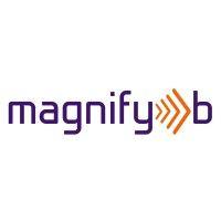 magnifyb logo image