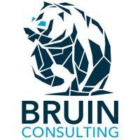 bruin consulting logo image