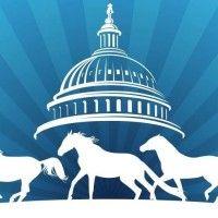 herd on the hill logo image