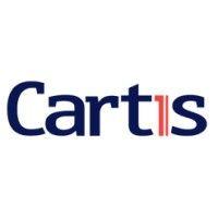 cartis north american payment solutions logo image