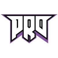 pro100 esports logo image