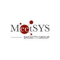 meetsys sas logo image