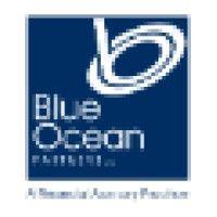 blue ocean partners, llc logo image