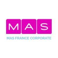 vistra france - mas france corporate logo image