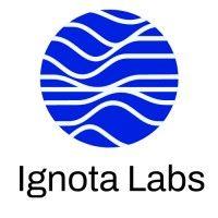 ignota labs logo image