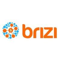 brizi inc. logo image