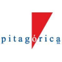 pitagórica - investigação e estudos de mercado logo image