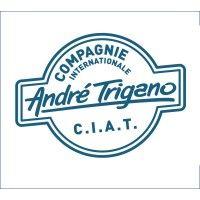 cie internationale andré trigano logo image