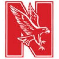 naperville central high school logo image