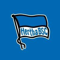 hertha bsc gmbh & co. kgaa logo image