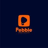 pebble technologies inc