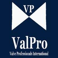 valve professionals (valpro usa, llc) logo image