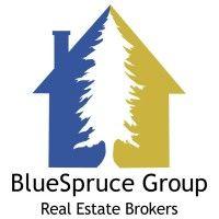 bluespruce group logo image