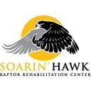 logo of Soarin Hawk Raptor Rehabilitation