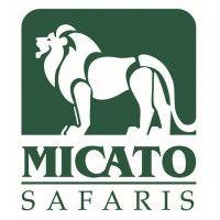 micato safaris