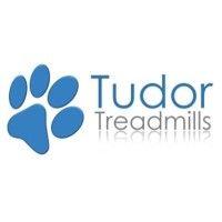 tudor treadmills inc