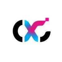 0x consulting group pte.ltd.