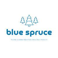 blue spruce ai logo image