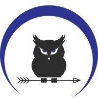 night owl consulting logo image