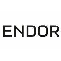 endor technologies logo image