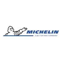 michelin lanka (private) limited logo image