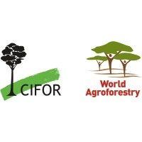 cifor-icraf logo image