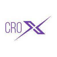 crox consulting inc logo image