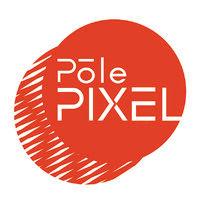 pôle pixel logo image