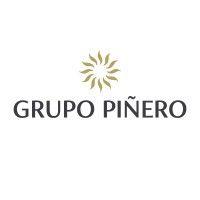 grupo piñero logo image