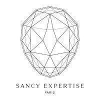 sancy expertise paris