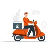 deliveryease.co logo image