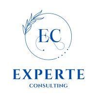 experte consulting logo image