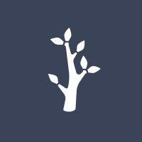 silvertree logo image