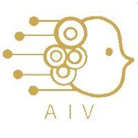 ai venture group logo image