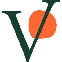 verve strategy logo image