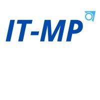 it - management professionals logo image