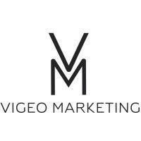 vigeo marketing intelligence, inc. logo image