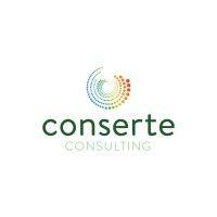 conserte consulting usa logo image