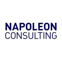 napoleon consulting ltd logo image