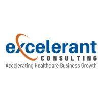 excelerant consulting, llc logo image