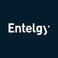 entelgy brasil logo image