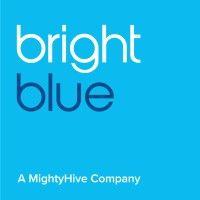 brightblue consulting logo image