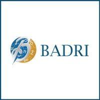 badri management consultancy logo image