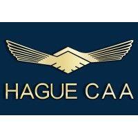 the hague court of arbitration for aviation logo image