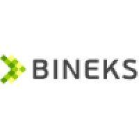 bineks.net logo image