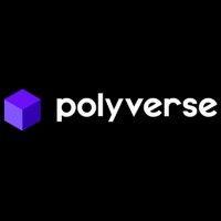 polyverse entertainment inc. logo image