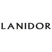 lanidor logo image